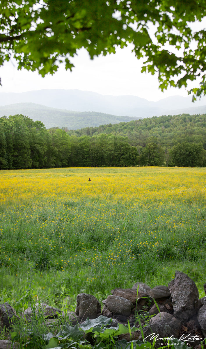 Rolling green valley under soft clouds, poetic fine art landscape photography perfect for rustic decor.