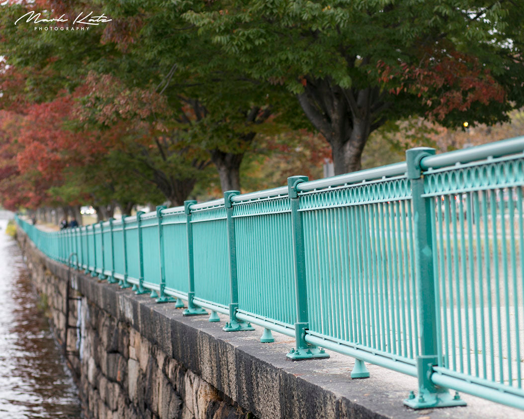 Colorful autumn leaves in Cambridge cityscape, classic fall in Cambridge fine art photography piece.