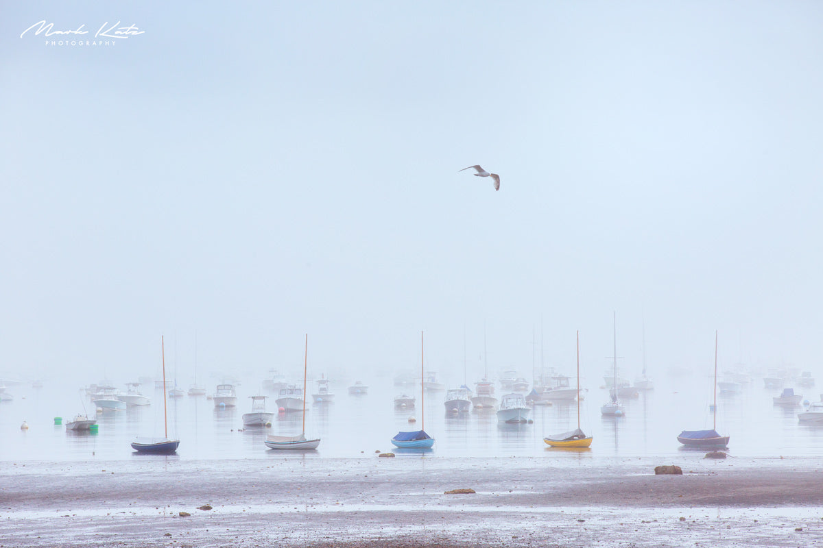 Town class sailboats in Marblehead coastal fine art photography by Mark Katz