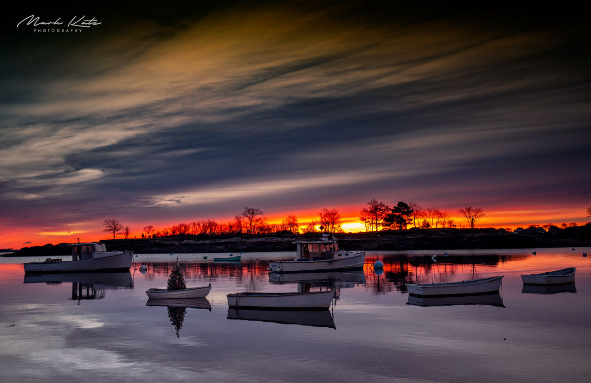 Florida Photos-Mark Katz Photography