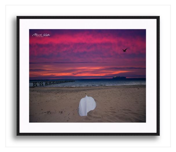 Marooned-Mark Katz Photography