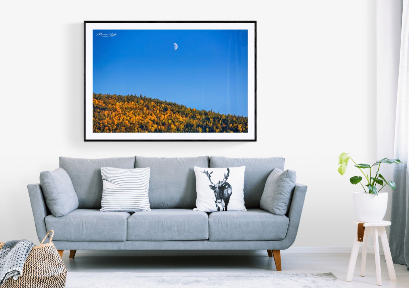Golden Landscape-Mark Katz Photography