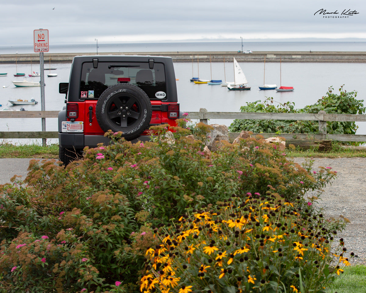 Vibrant seasonal scenes captured in lively fine art photography perfect for changing decor.