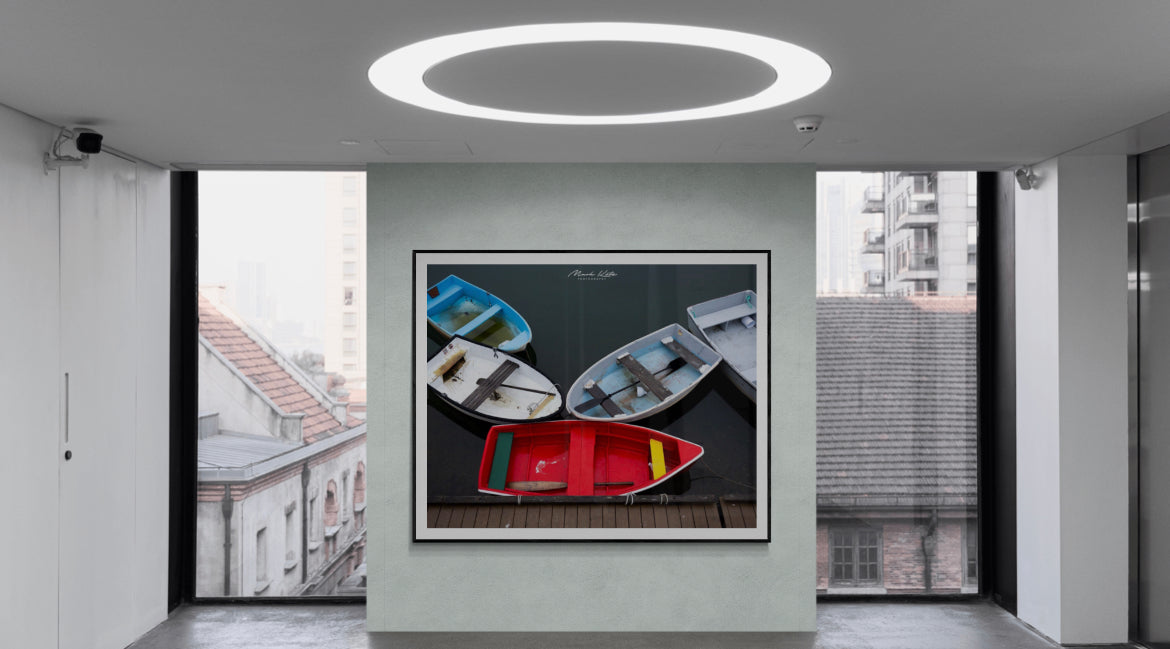 Snafu-Mark Katz Photography