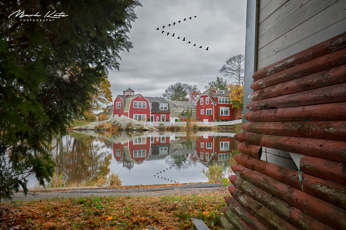 Geese flying over Redd's Pond during autumn, symbolizing migration in vibrant fine art nature photography.