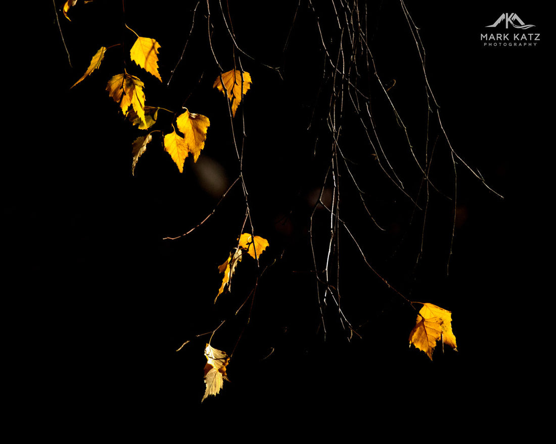 Late Fall in Marblehead, MA