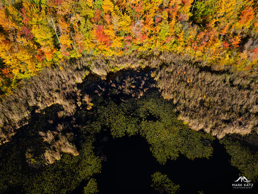Exploring Ware Pond: Hidden Fall Beauty in Marblehead