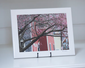 Spring by the Sea (9x12 print)
