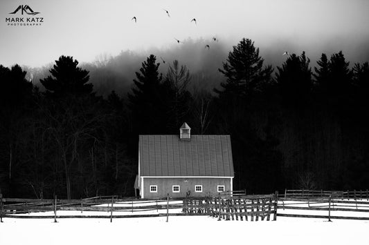 An old farmhouse embedded in trees, symbolizing a generational treasure, by Mark Katz Photography.