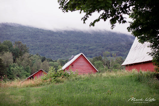 Three red shacks, side by side- fine art rural photography for wall decor.