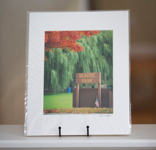 Matted photograph of Seaside Park in Marblehead, MA with a willow tree by Mark Katz Photography