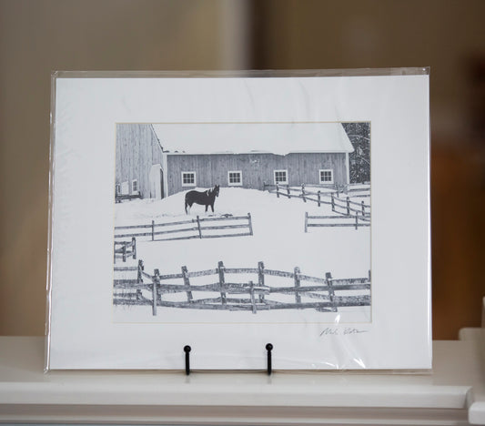 Equine Winter Playground (8x10" matted/signed print)