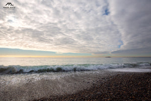 Coastal Delight