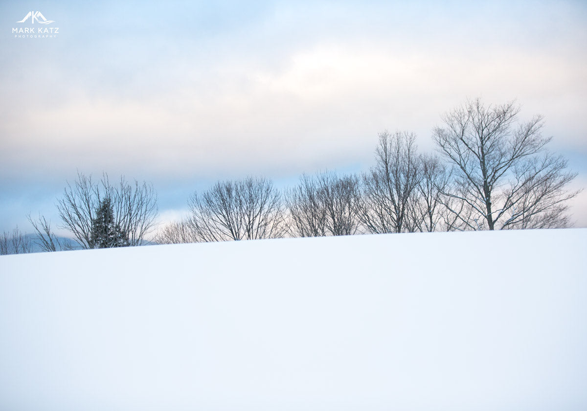 Snow-covered Vermont field with a line of bare trees beneath a calm pastel winter sky