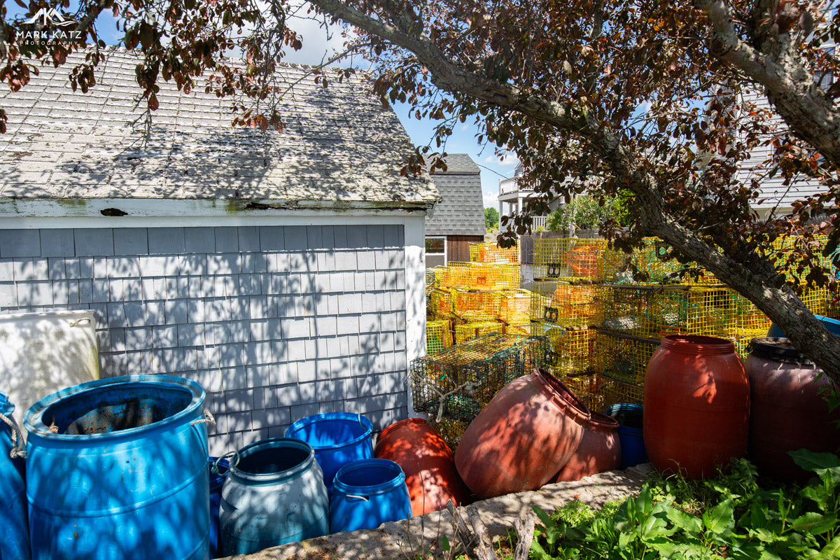 Cozy backyard garden beside waterfront, peaceful fine art photography perfect for serene home decor.