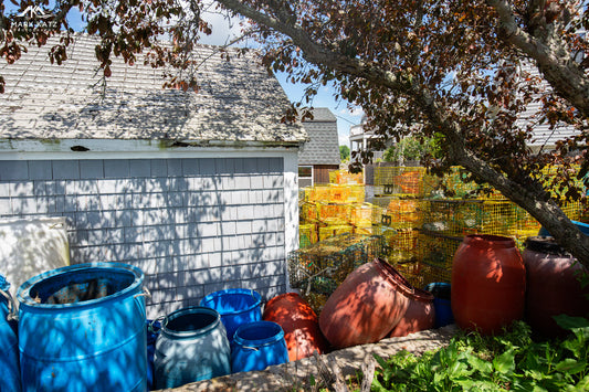Cozy backyard garden beside waterfront, peaceful fine art photography perfect for serene home decor.