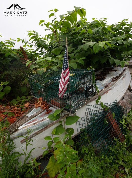 American flag nestled in a lobster trap, festive July 4th fine art photography.