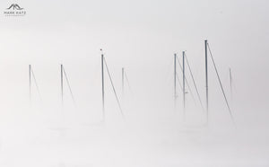 Dense Fog