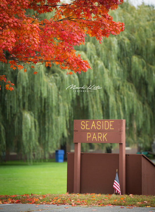 Autumn trees in Marblehead's Seaside Park, in vibrant fine art landscape photography.