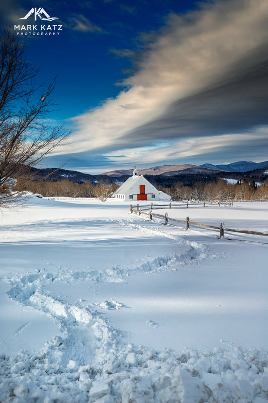 Ski tracks weaving through fresh snow, dynamic winter scene for wall decor.