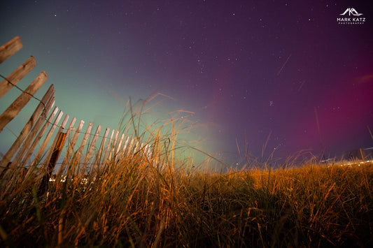 Northern lights at Riverhead Beach, print by Mark Katz Photography 