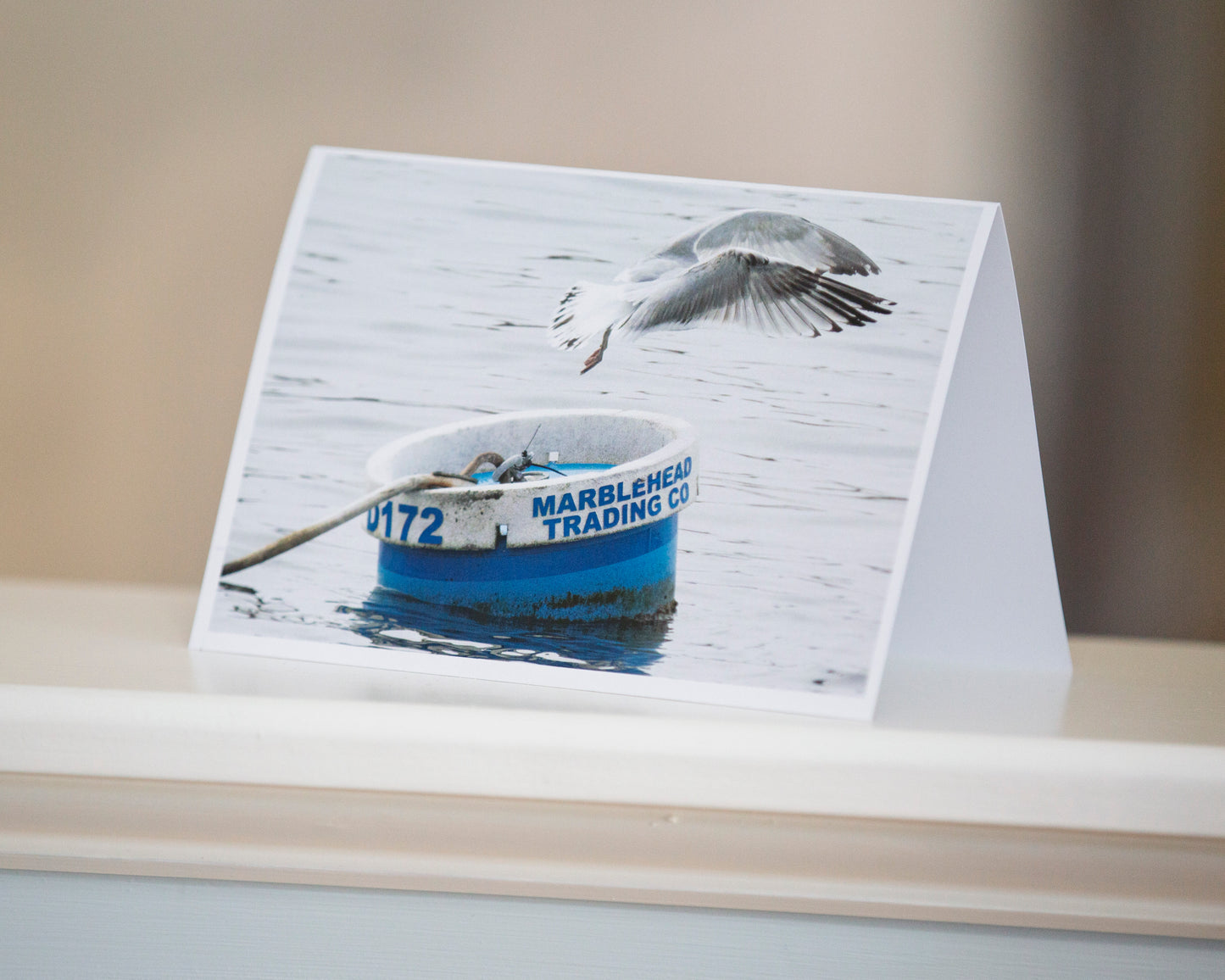 Greeting card variety pack featuring Marblehead photography