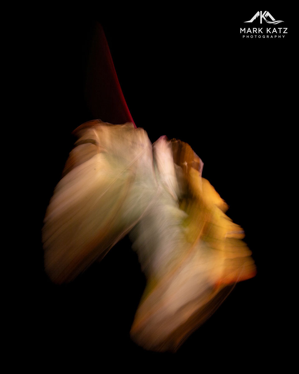 Leaves in Motion (Series)