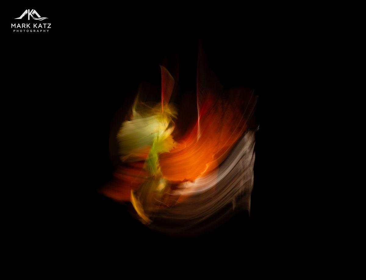 Leaves in Motion (Series)-Mark Katz Photography