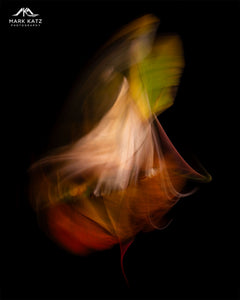 Leaves in Motion (Series)