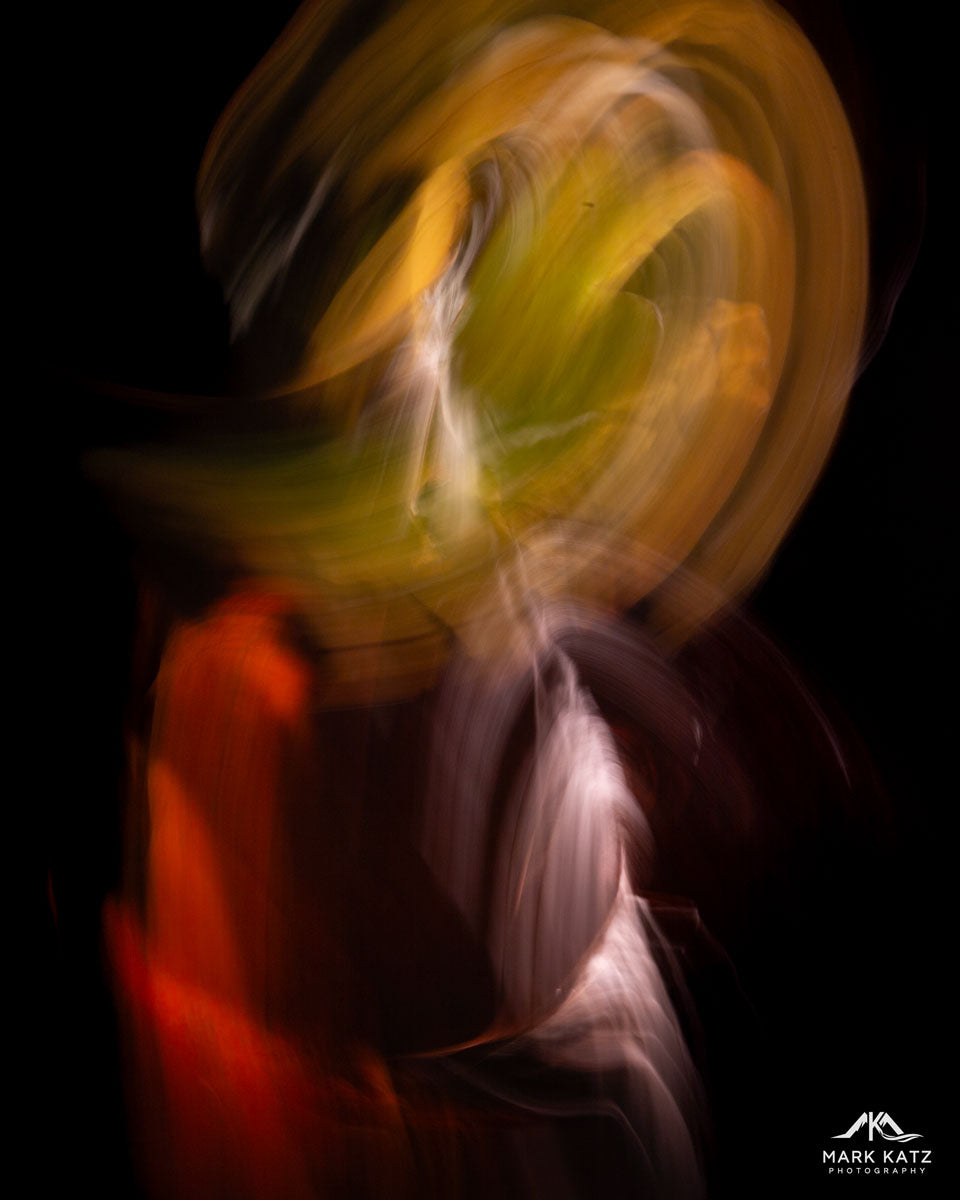 Leaves in Motion (Series)-Mark Katz Photography