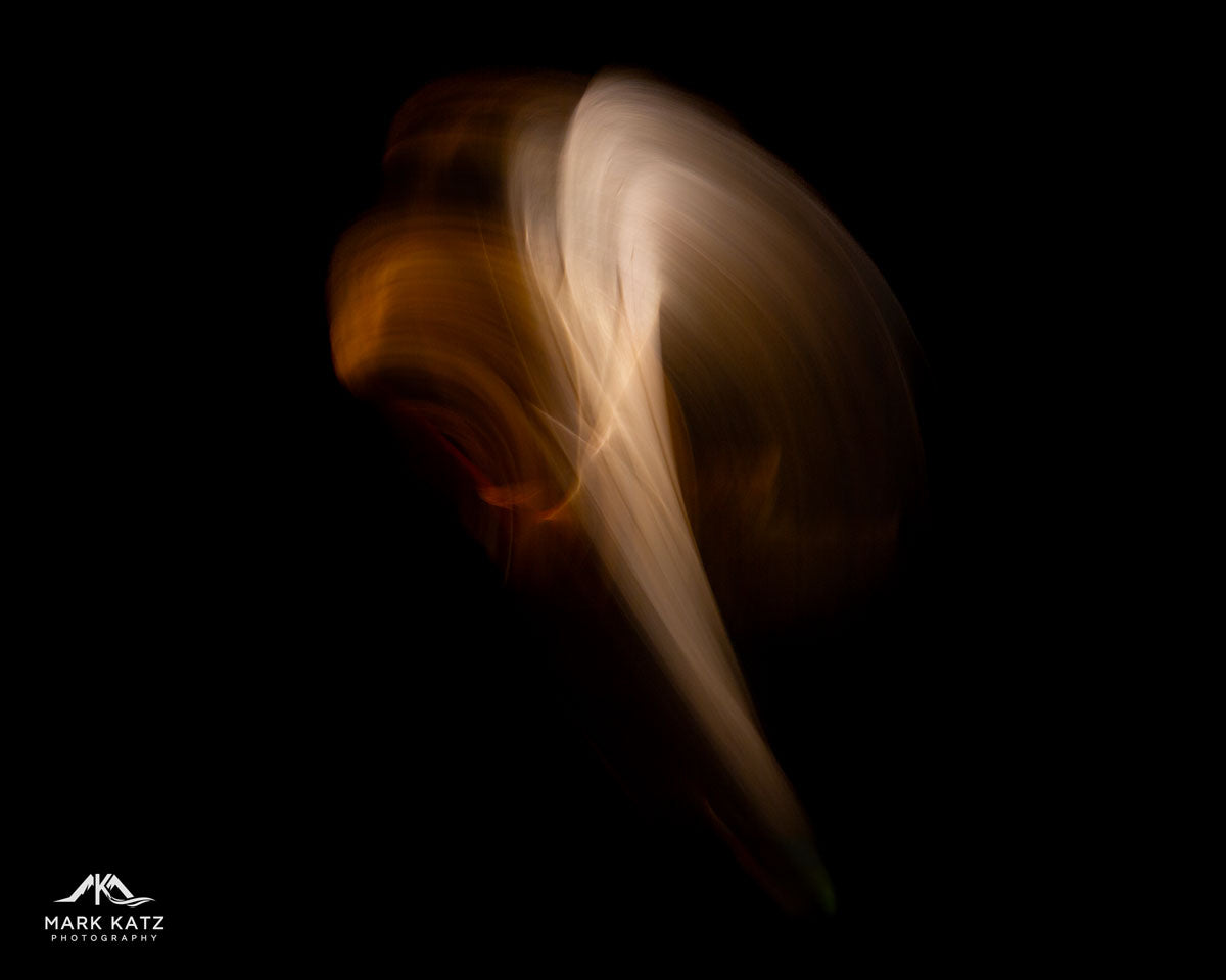 Leaves in Motion (Series)-Mark Katz Photography