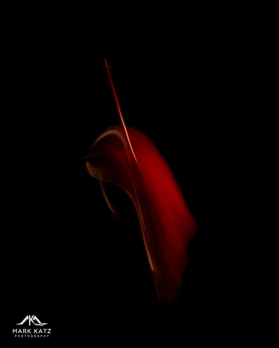 Leaves in Motion (Series)-Mark Katz Photography