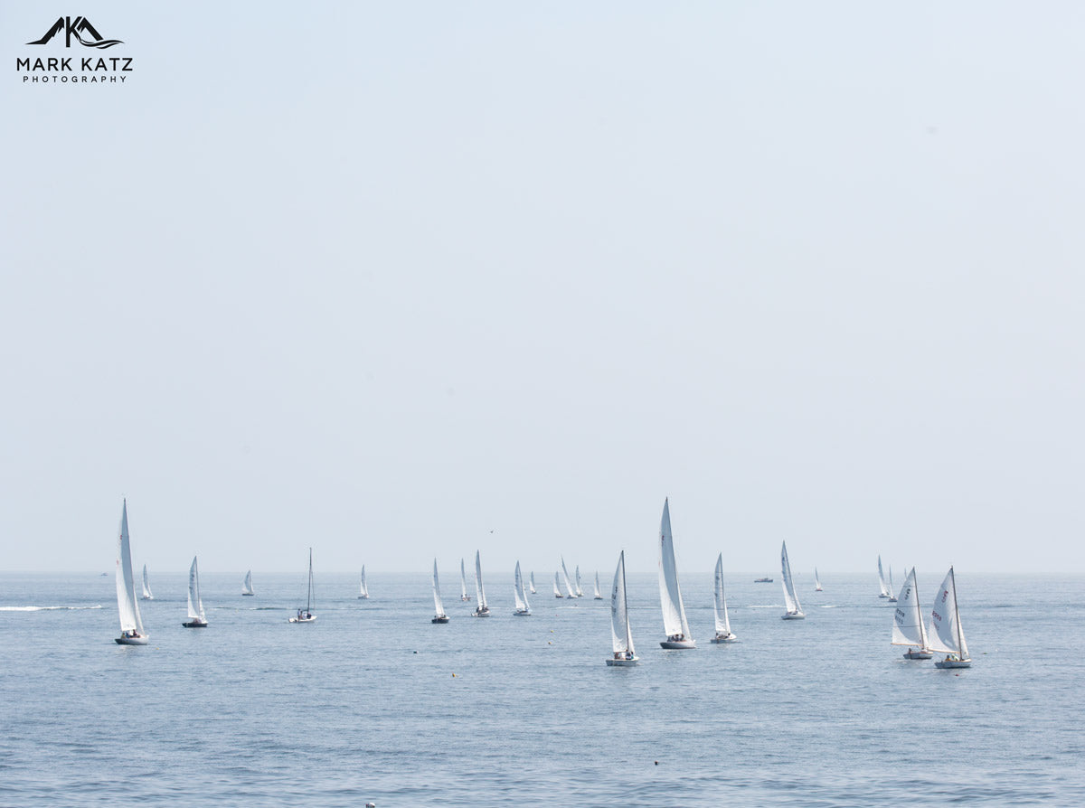 Harbor filled with sailboats racing, capturing Marblehead’s vibrant Race Week in nautical fine art.