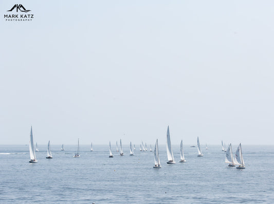 Harbor filled with sailboats racing, capturing Marblehead’s vibrant Race Week in nautical fine art.