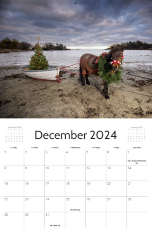 2024 Marblehead Calendar-Mark Katz Photography