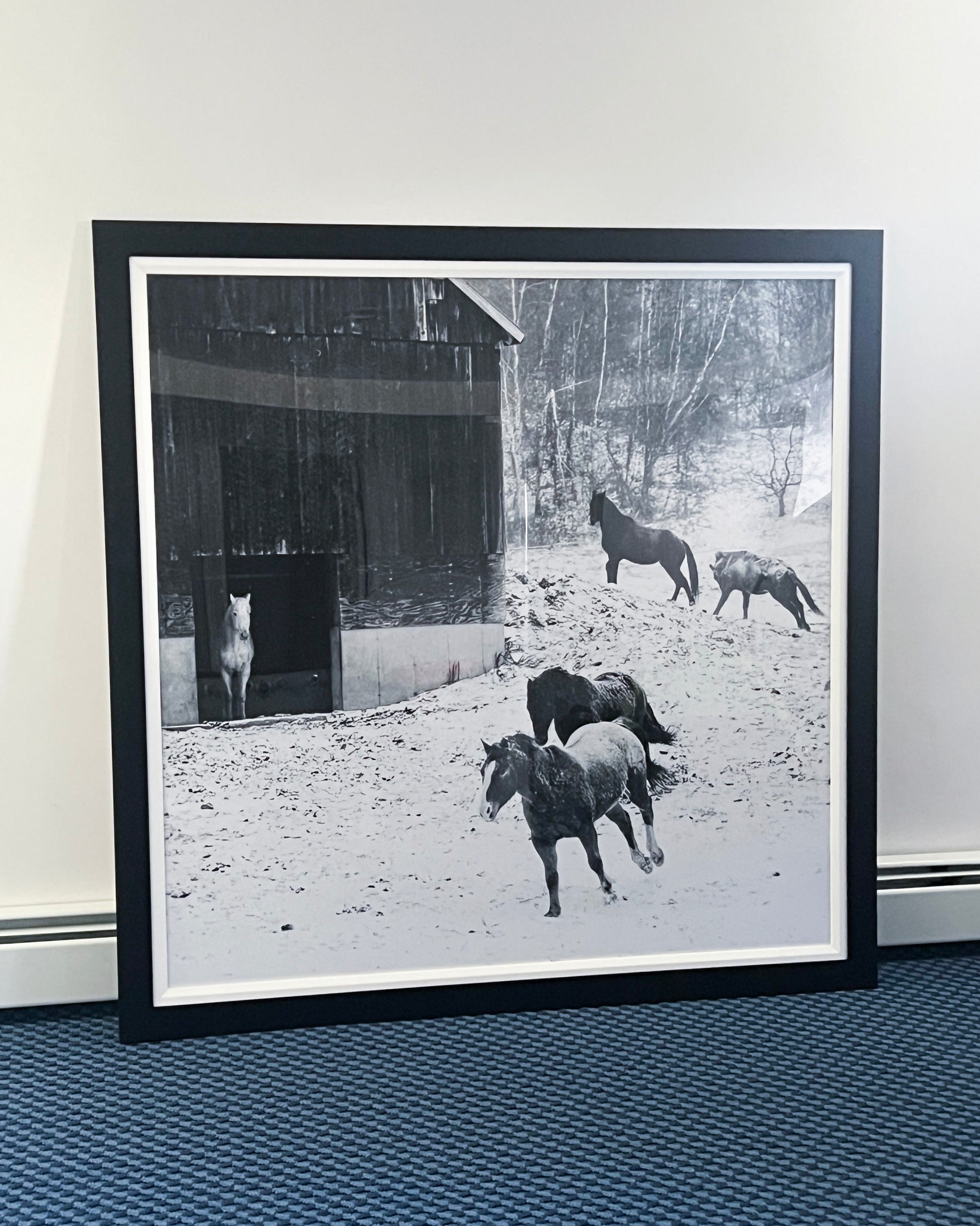 Large double-framed photo of horses at a Vermont barn during winter, by Mark Katz Photography