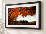 Canopy in Ebonized Oak frame with white archival mat