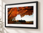 Canopy in Flat Black frame with white archival mat