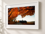Canopy in Gallery White frame with white archival mat