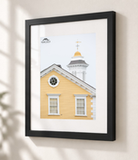 Dressed in Yellow in Flat Black frame with white archival mat