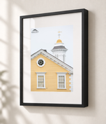 Dressed in Yellow in Gallery Black frame with white archival mat