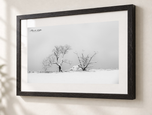Exposed in Ebonized Oak frame with white archival mat
