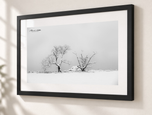 Exposed in Flat Black frame with white archival mat