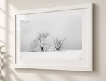 Exposed in Flat White frame with white archival mat