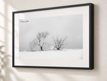 Exposed in Gallery Black frame with white archival mat