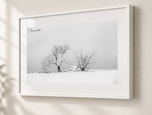 Exposed in Gallery White frame with white archival mat