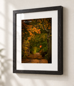 Falling in Ebonized Oak frame with white archival mat