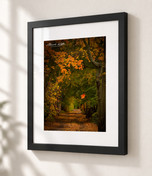 Falling in Flat Black frame with white archival mat