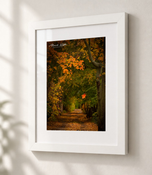 Falling in Flat White frame with white archival mat