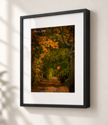 Falling in Gallery Black frame with white archival mat